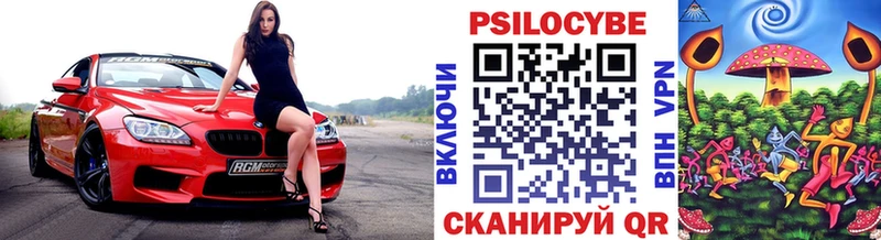 Псилоцибиновые грибы Psilocybe  Тара 